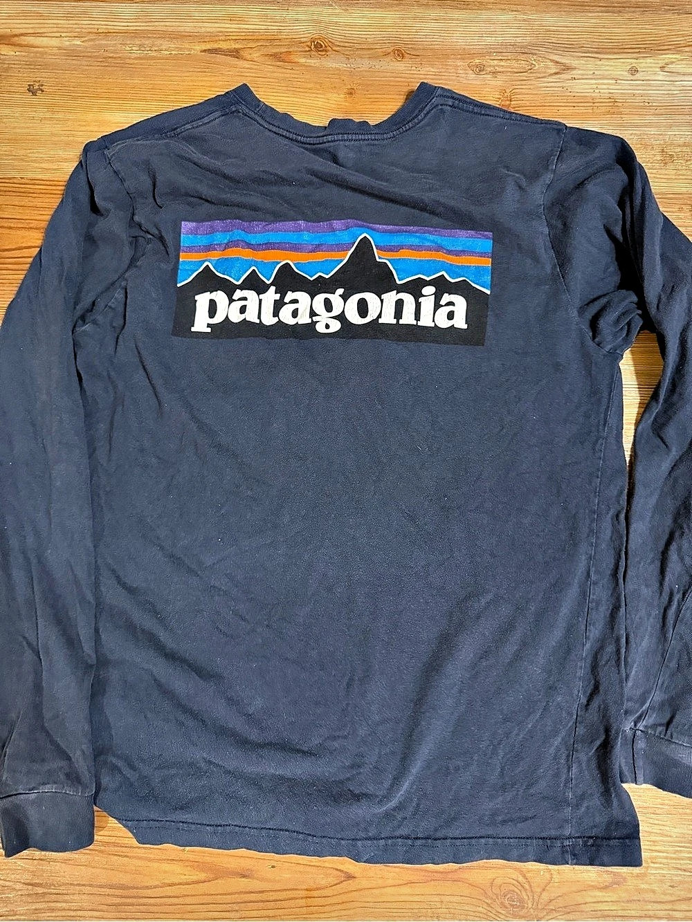 Patagonia Men's Long-Sleeved Fitz Roy Horizons Responsibili-Tee Blue Medium
